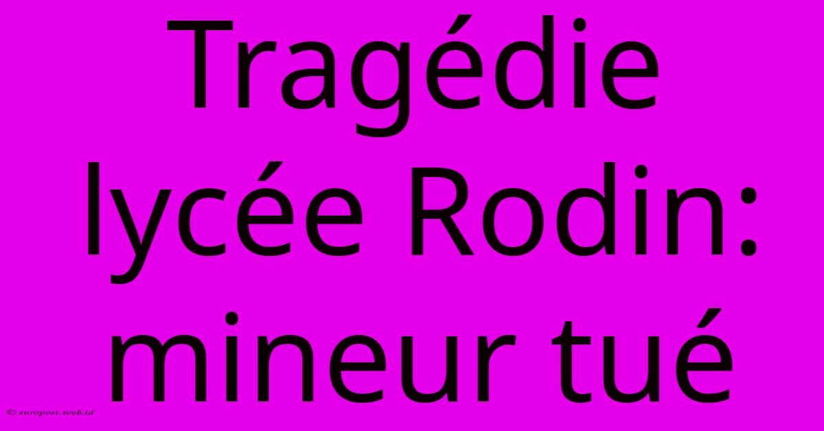 Tragédie Lycée Rodin: Mineur Tué Tragédie Lycée Rodin: Mineur Tué