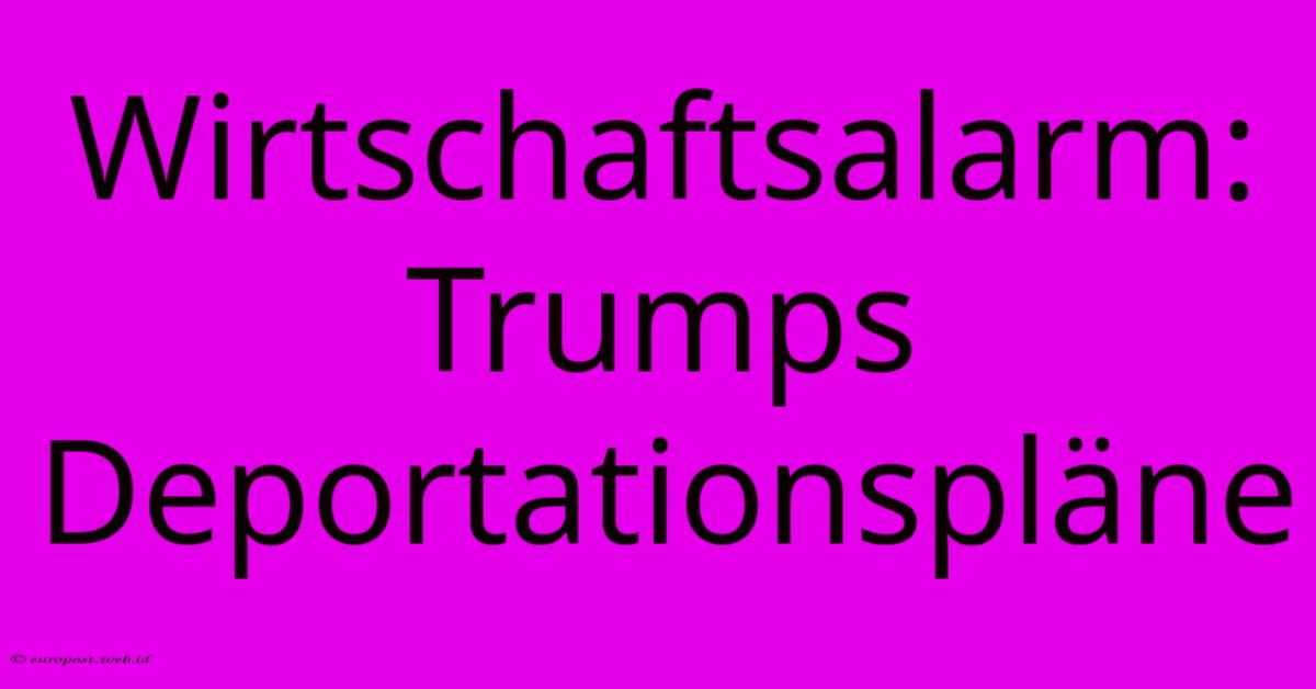 Wirtschaftsalarm: Trumps Deportationspläne Wirtschaftsalarm: Trumps Deportationspläne